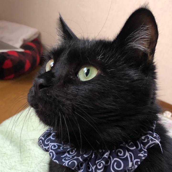 74828980 6cb4 4dab 81a7 73edcde4e92d 1558344955303