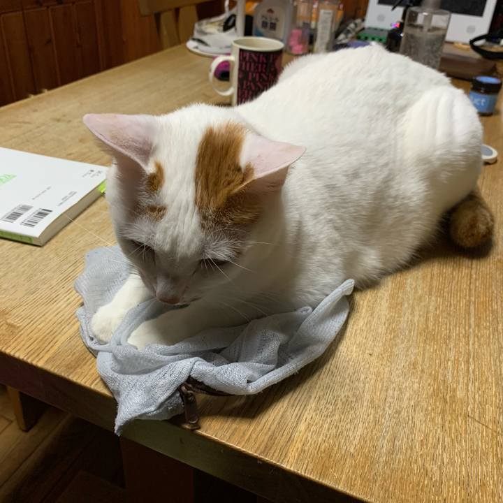 7482977a daab 48f6 8660 5a01f4544882 1615046713810