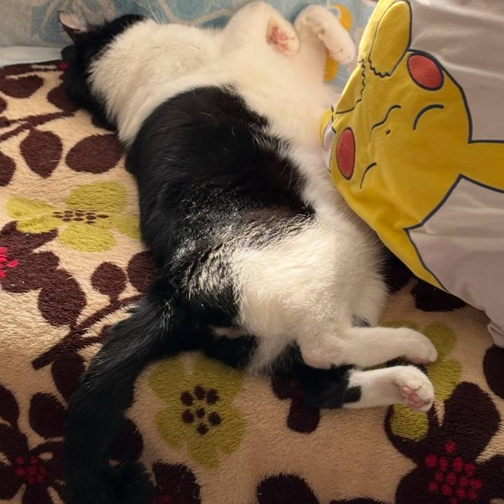 7482d0ce 692e 4449 9b92 05290422f2fa 1764039988064