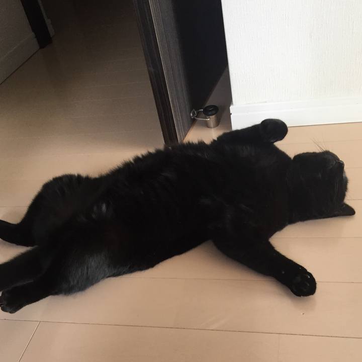 7483561f bc4e 40d1 963d c37ab1287525 1563505810501