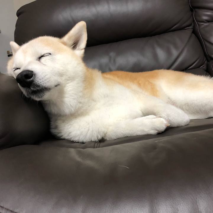 74835784 66a5 40bc acf7 32dcab22cf5d 1567902006062