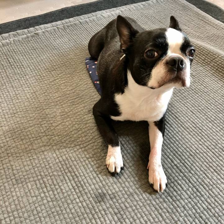 74837392 e174 45e5 852b 9e5d310199b2 1613271435969