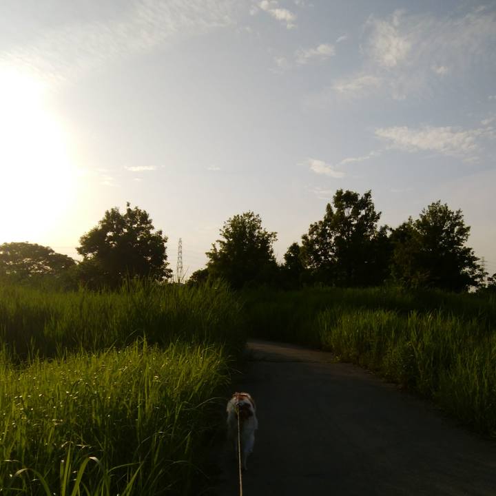 74839230 4257 403f b310 ae6ceb5670af 1527422180095