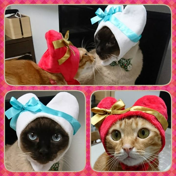 7483d0c4 53cb 4be4 bc1f 291d1ae87b8b 1516793611702