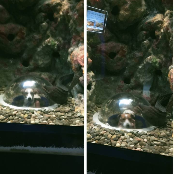 7483dba9 a594 4ebb 8876 05e3a582ad67 1768564763052