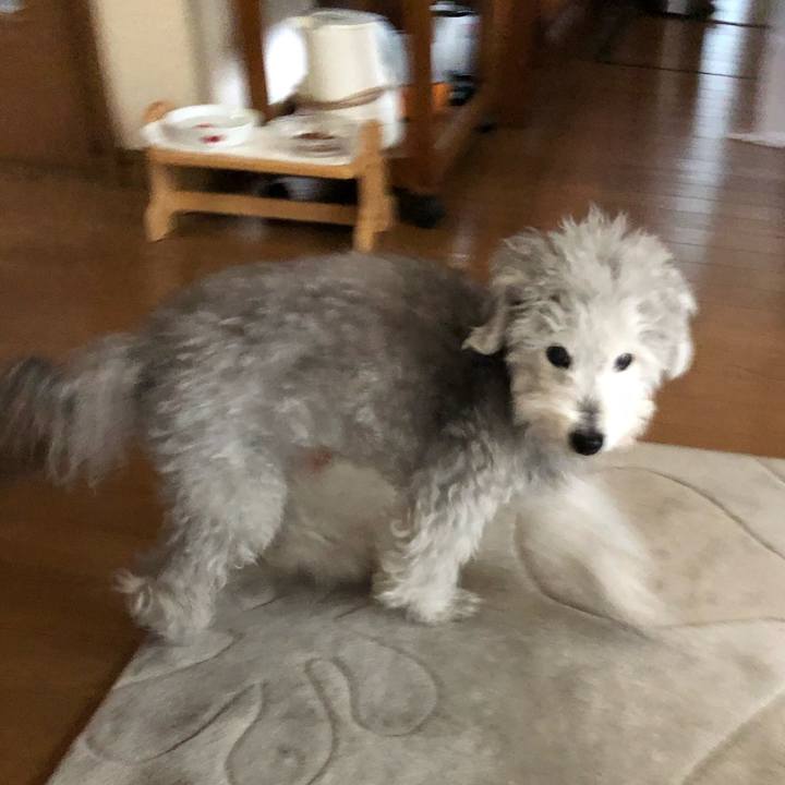 74840f7a d99b 4b2a a38e 6c307e7fdbff 1583365236784