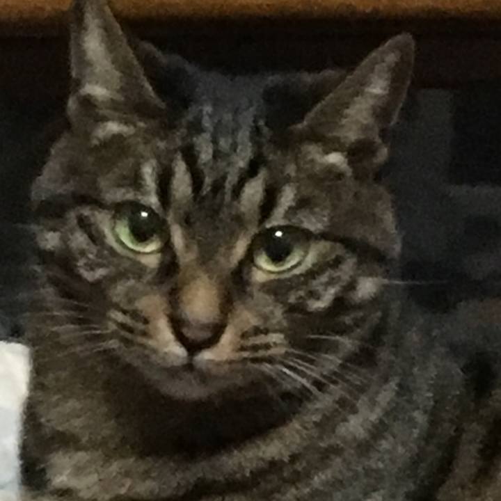 74841754 0460 4cc7 b878 c27a82b9add9 1512634462576