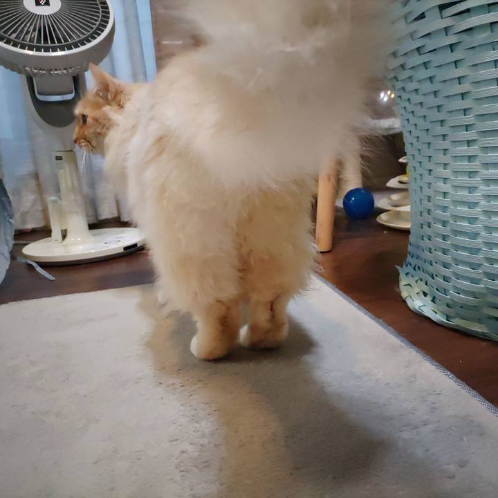 748428ba 5f03 4a64 af6b 823231f098b1 1707864058063