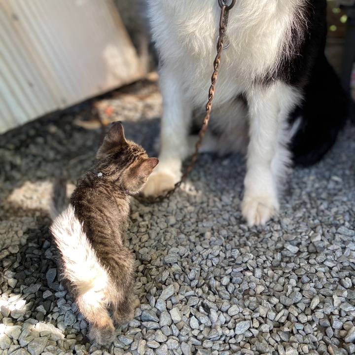 74843894 9b8d 4ae3 8c71 53d04debb7d2 1597710491178