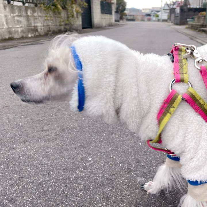 7484901f bba5 4401 b24f 1771858ac03f 1766648365428