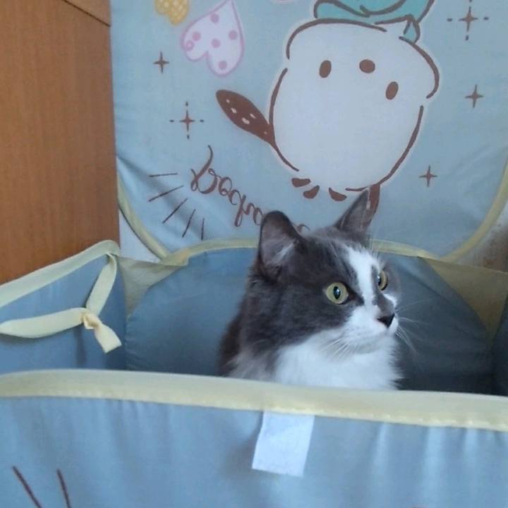 74849d81 b3c0 40ab b89b 5958ddfe4df9 1698534373379