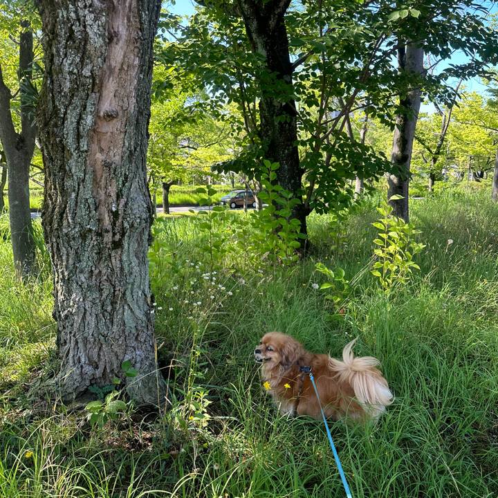 7484a715 63ec 4f37 bc62 5e8544e40259 1688257145918