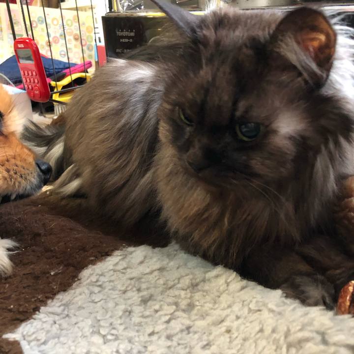 7484ad11 ca19 463e bf0a 9aba81210cdd 1552688866746