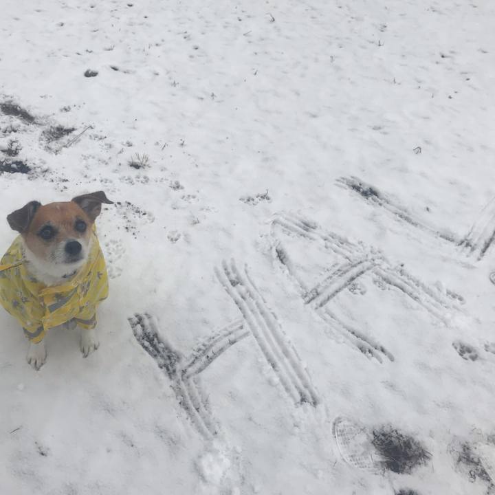 7484b1d1 844d 4253 b9b5 00f2bff1baef 1549674960874