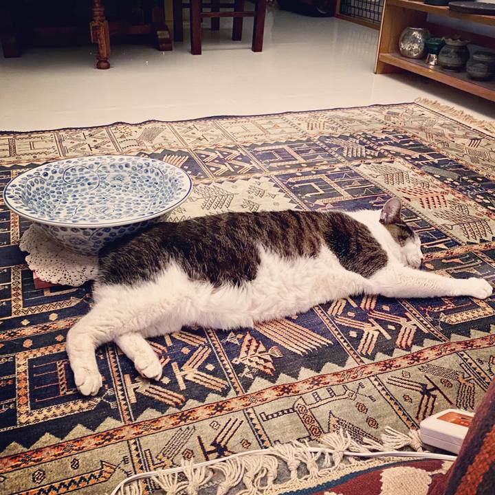 7484c88d 42cc 4d85 b9cd c7e827c61082 1578834446457