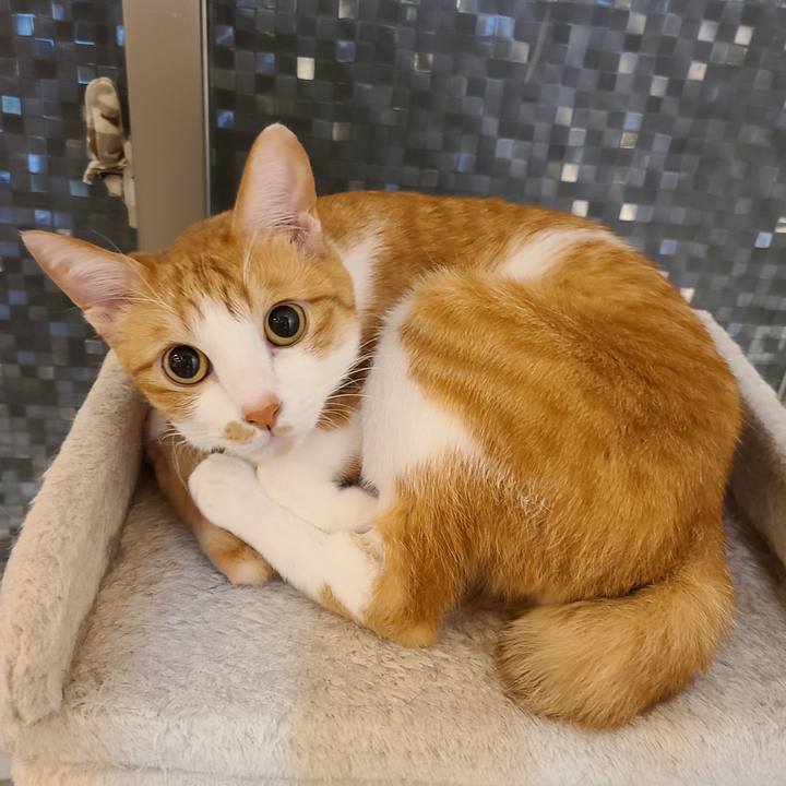 7484ed59 9b64 4d1d 8765 90d685de7429 1611567464670