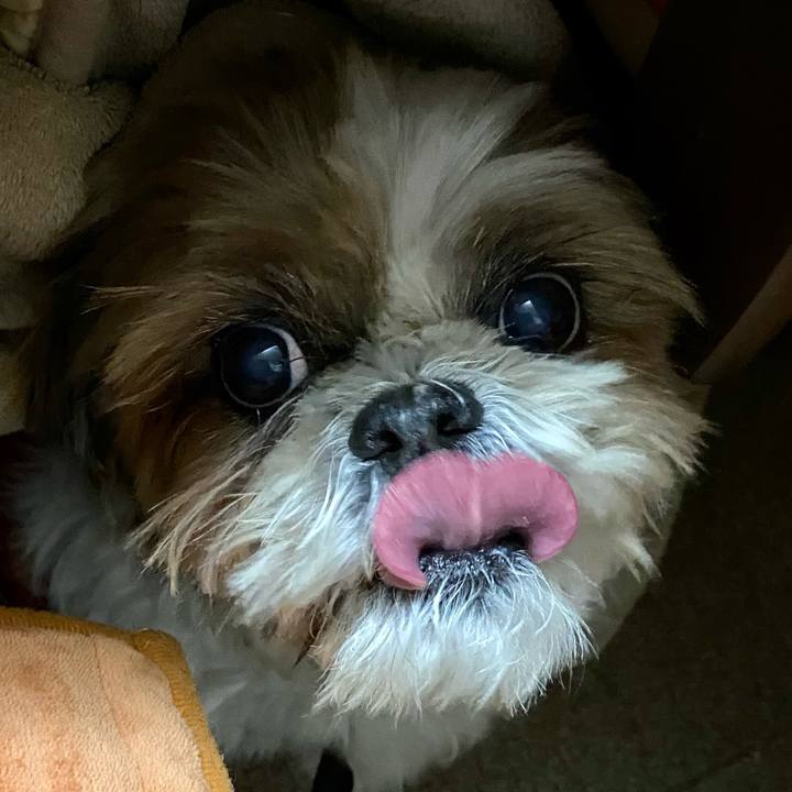 7484ef4c dbab 4f8a 80d2 d482fc9f6036 1609067546609