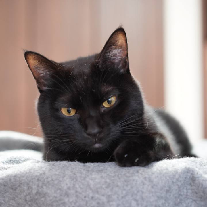 7484fca9 dd58 4767 a49e 323d8ee16743 1577232404283