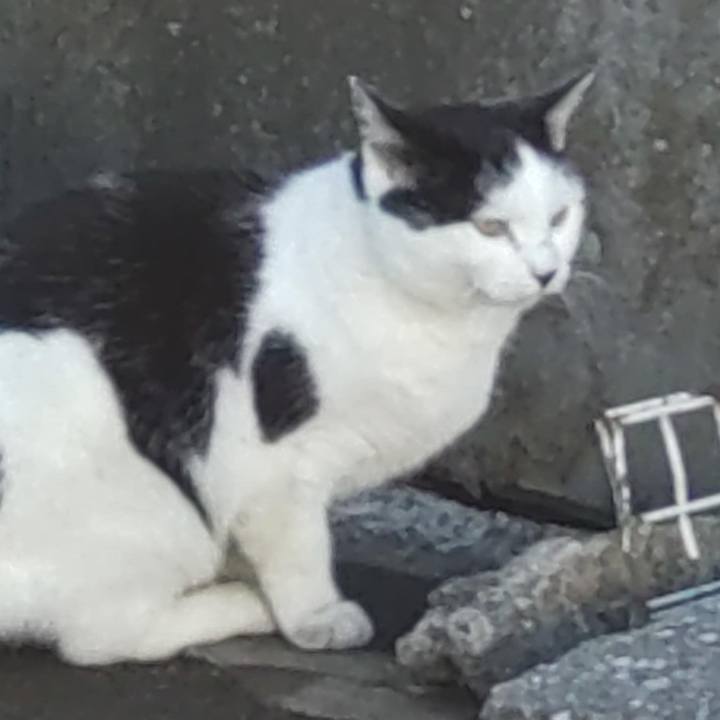 74850668 0371 4034 810e 6c3c1ee5bd38 1731458819770