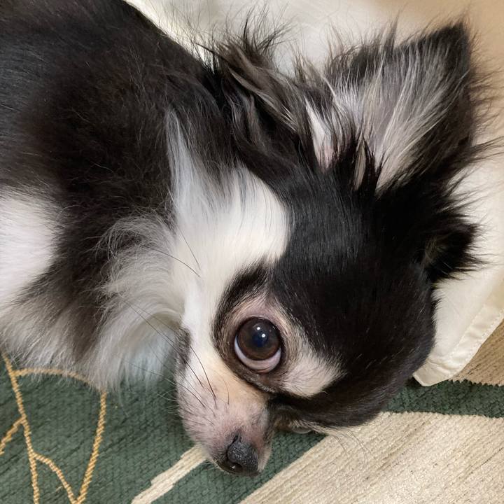 7485127b b38a 4139 bce3 31e894a50479 1633789764388