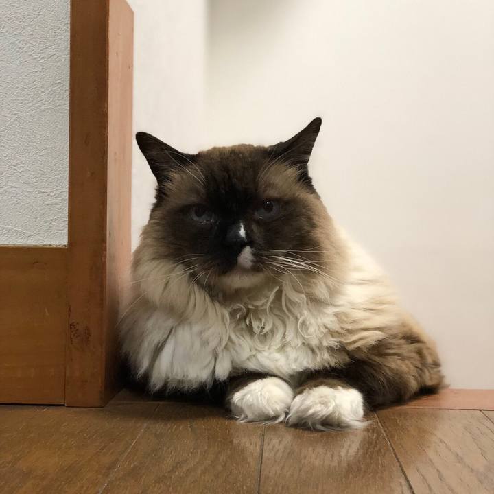 74853a77 382c 4d49 9ef1 fca4084aab01 1556716201894