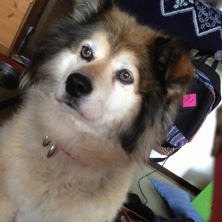 74854759 91d3 431c 95bf b368aaa79a9e 1601850260754