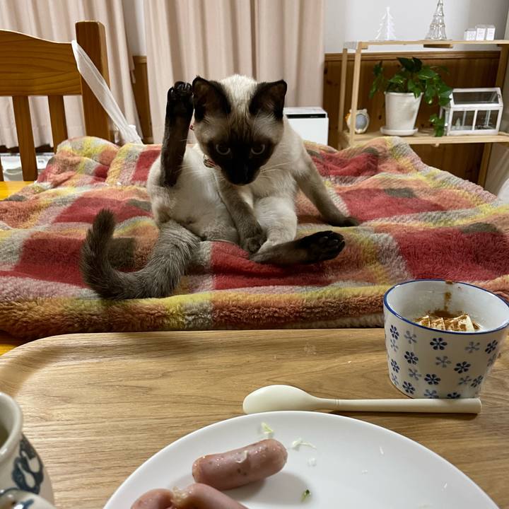 74856304 64b2 4d71 a417 4222fbd08ac6 1702414141324