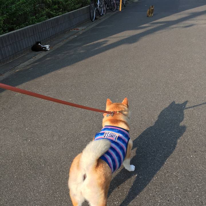 7485ba52 c1d2 4053 8157 641475ff5ce2 1613299765103