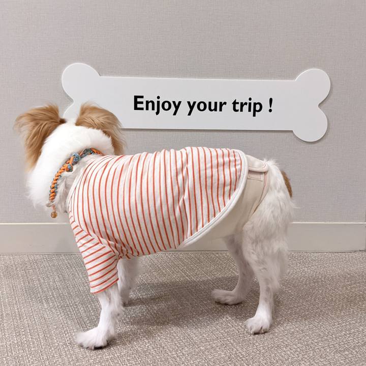 7485fd1e 59e9 4c57 a8e8 174cca1a9a1a 1663592299140