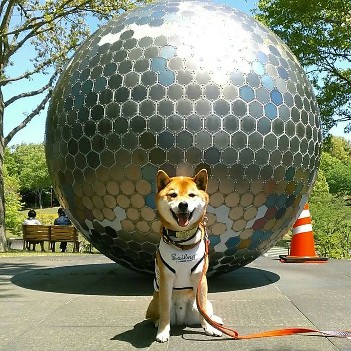 748635e1 55ff 4ad2 972c 7572b0c02cef 1556959708454