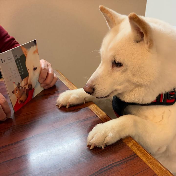 74867602 1054 4304 8455 b104d50c5e1c 1765272176531