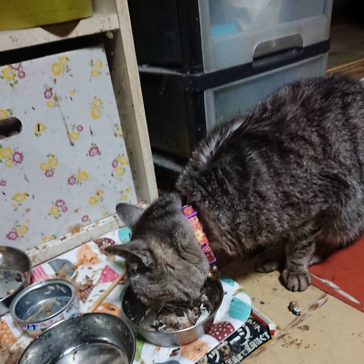 74868559 a689 4bf6 8e73 ca58b3901ca7 1592130499173