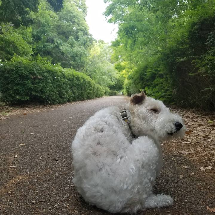 74869121 f674 4c4b 8c4f 9f487f84471f 1558266998087