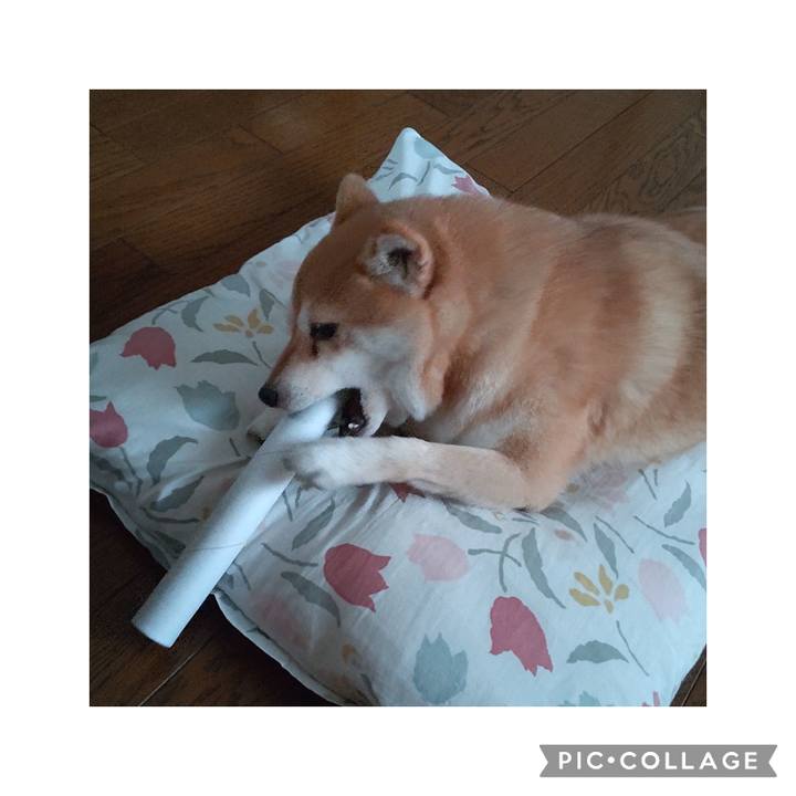 7486969a 0c6e 429d ae0f f5318986cd42 1757842095040