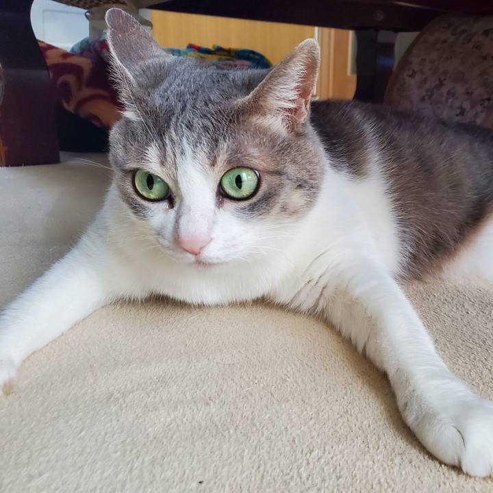 7486f0ee db74 49c4 ac4f b6add4d59df4 1706795918408