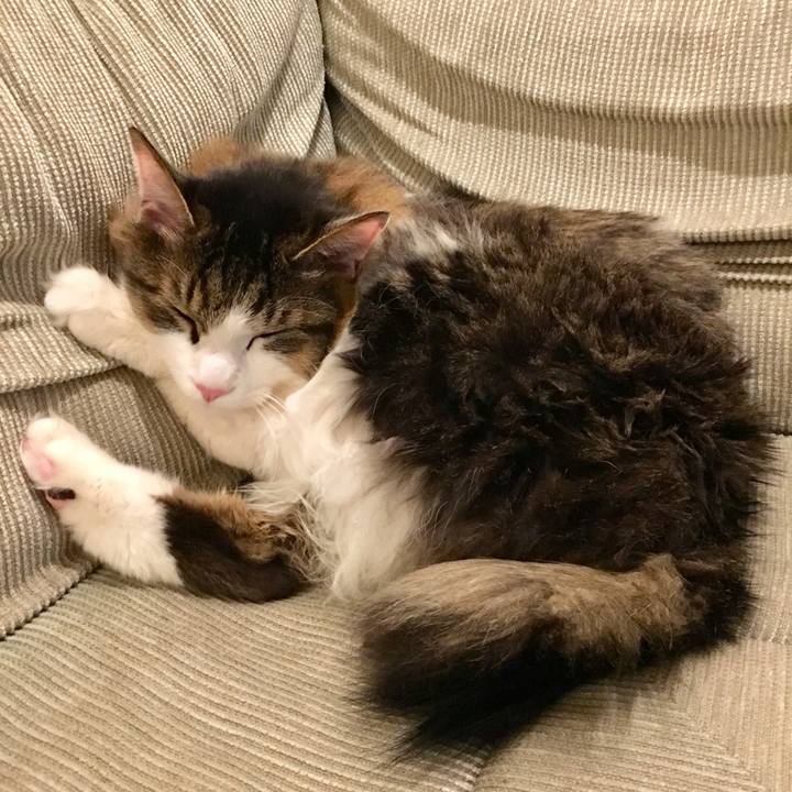 74872b0c b604 4b77 b066 da02b73875ba 1767662623705