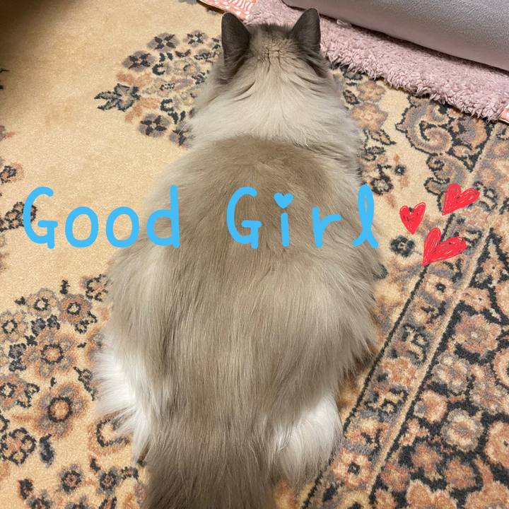 74873400 a3bd 49ff b7ba e529b244c6c3 1684234793450