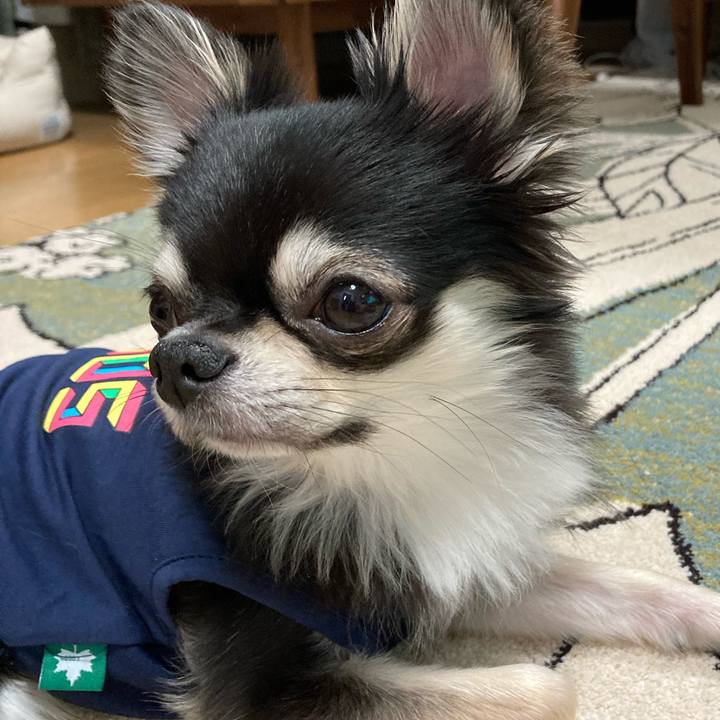 74874765 a5ef 4cb7 87f4 233d090dfce5 1620221989356