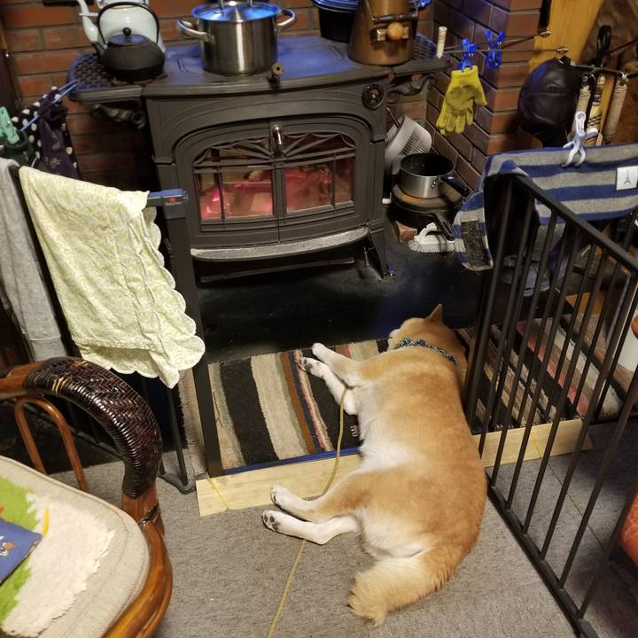 748748d4 dd9c 4589 bac2 3d2d593064b7 1704008013319