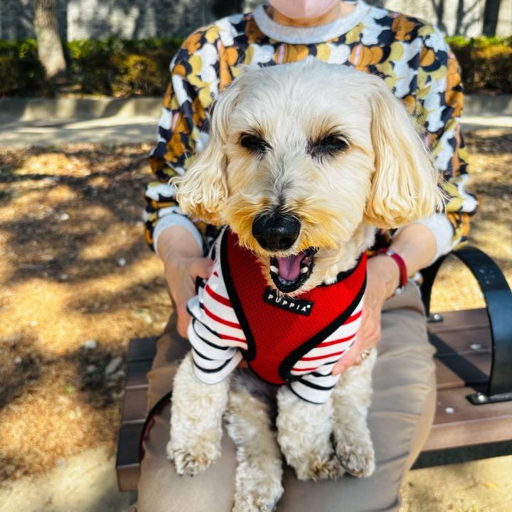 74874ef5 e2a6 414b ba88 7758f055e14c 1772082262427