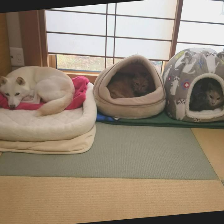 7487770e 4af5 4b3e 97f5 bceb305ae1e5 1604374759316