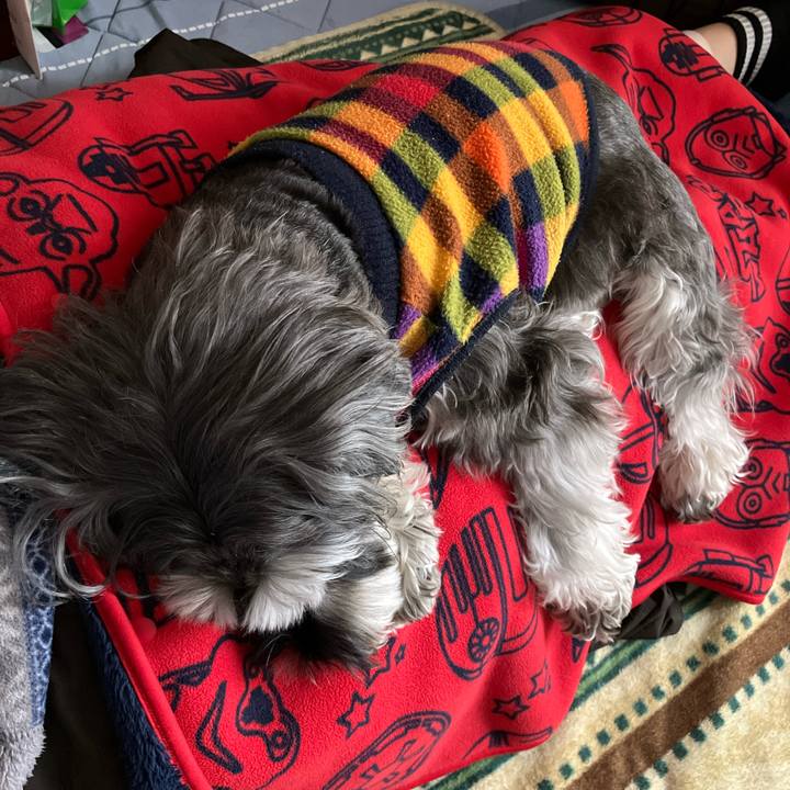 748797ea c491 4b70 8cd0 1a00da2e720d 1711247446537