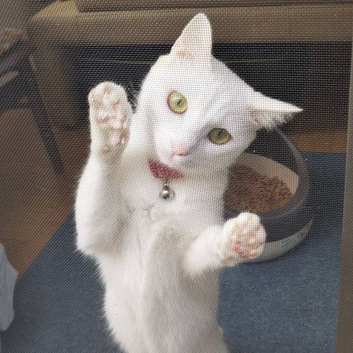 7487b62b 989a 412c 9c91 be9d443b9f21 1635751207837