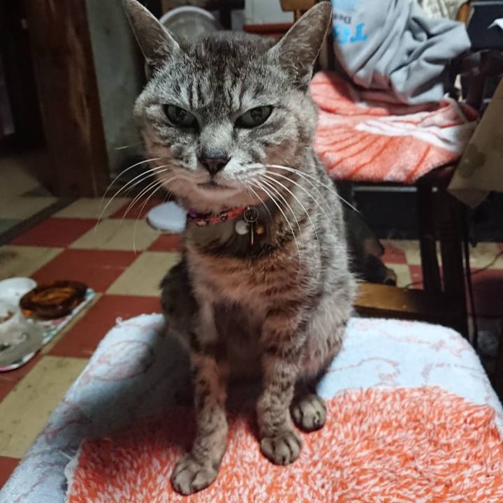 7487c367 74e9 4b86 912b 6d5563541937 1593202517351