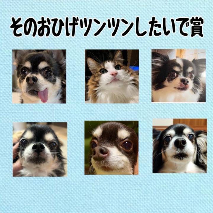 7487e70b 3d87 4ddd b74a c4095fed848d 1738017491497