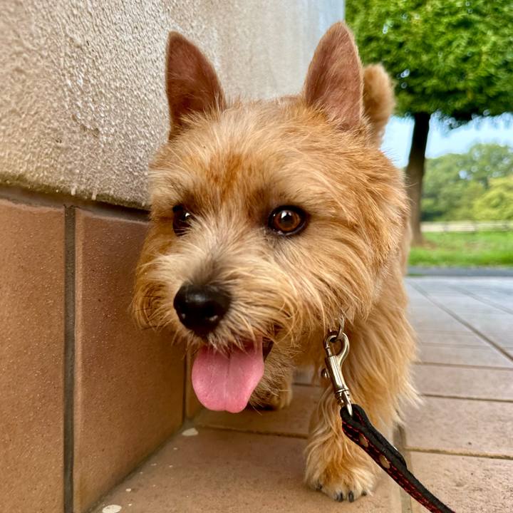 7487f899 c4ca 474f 9c04 35f389ac58d0 1756200849661