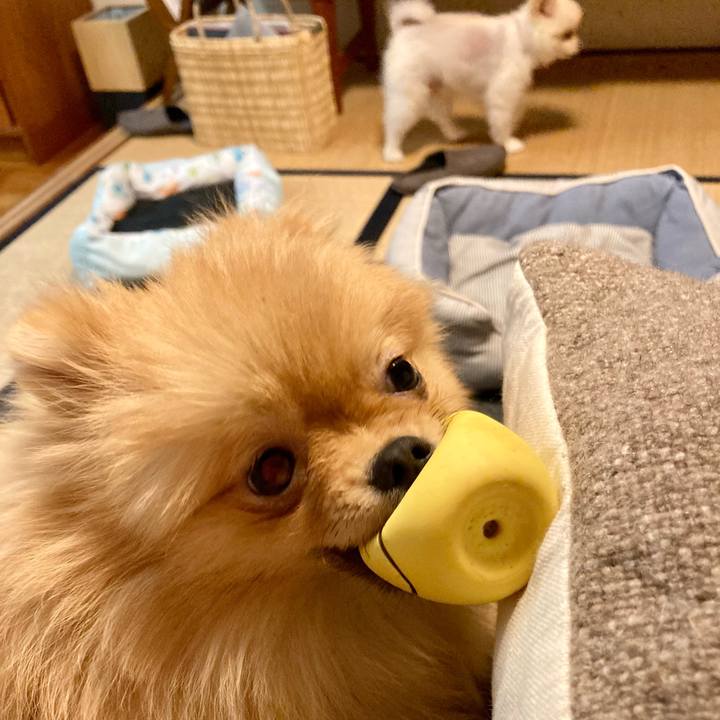 748822c8 b414 4c42 a56b 05d6b1cc6cdf 1649028894811