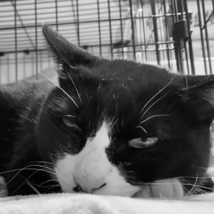 7488715d 5993 4a74 9170 8d7f77142294 1744104680610