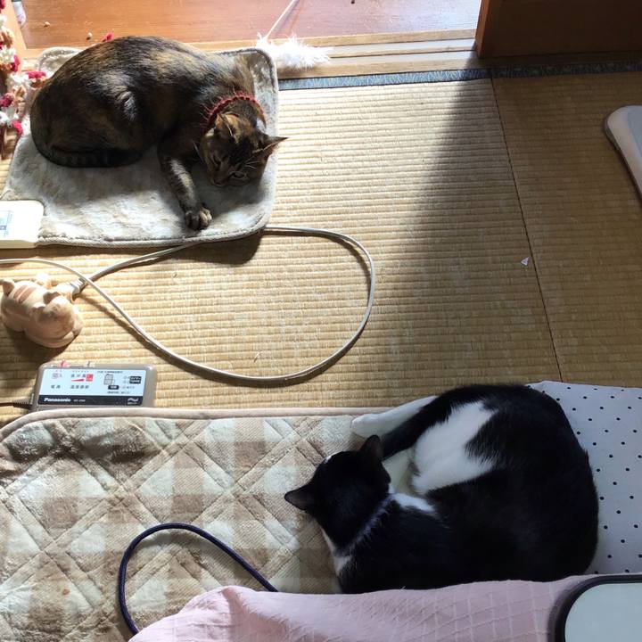 74889a73 2f57 477d ae82 8f514c9a7a28 1641968111229