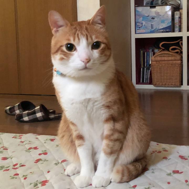 7488ba06 ad4a 496e a1ca bbd666de16f5 1562103763822